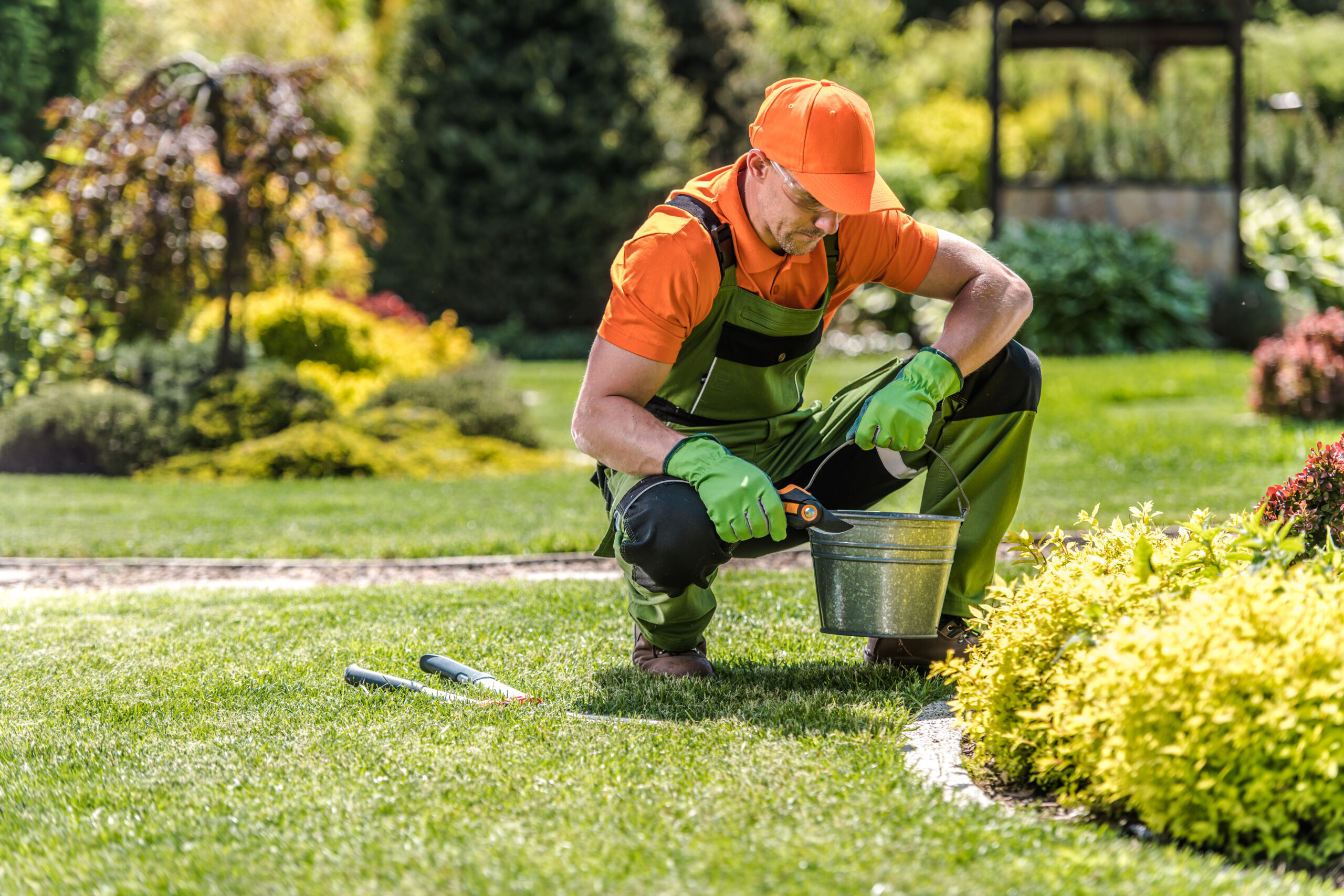 Professional Landscape Gardener Wearing His Gardening Costume Pruning Plants with Secateurs During Garden Care and Maintenance Work. Gardening Tools in Use.